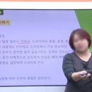 튼튼애견미용 이미지