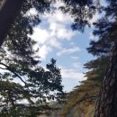 도산서원길(도산면) 이미지