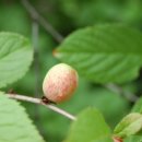 백두카센타 이미지