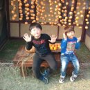 우복동마을 이미지