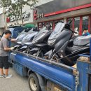 DS모터스포츠 이미지