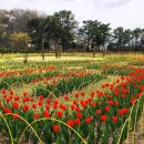 서운야외공연장 야외공연장 이미지