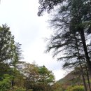 대해성수산 네이버블로그