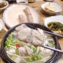 아리랑 생아구 이미지