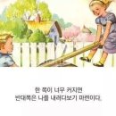 시소 이미지