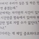 아주 느린 빵