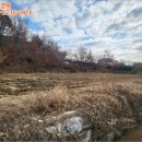 성상1리 이미지