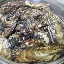 석화 이미지