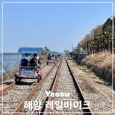 여수 해양 레일바이크 평일 현장발권 후기