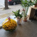 유부부 여수학동점 이미지