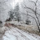 원앙여인숙 이미지