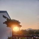 와산스테이 인 제주 이미지