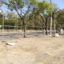 신한국주유소 이미지