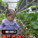 자연사랑어린이집 인근 | 용인 가족체험 농장 &#39;헤븐온어스&#39; 예약 주차 인근식당 정보 총정리