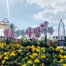 옥정호로 이미지