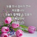 담소