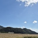 순천만국가정원 동문매점 이미지