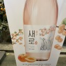 서귀포로맨스 상주점