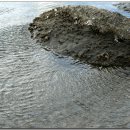 머믄자리 이미지