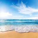 해물박사 이미지