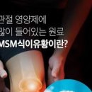 MSM 식이유황 관절에 미치는 영향, 엠에스엠 효능 이미지
