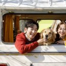 사람과애견 이미지