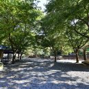 금다래캠핑장 이미지