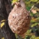 하고산경로당 이미지