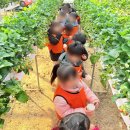 산본스타어린이집 이미지