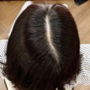 차쌤뷰티 | 대전 헤어라인 교정 전문 페이스디자인에서 가르마 탈모 커버 받은 후기