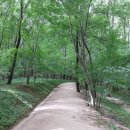 숲속의 하루 이미지