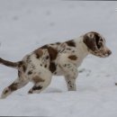 귀족동물병원 이미지