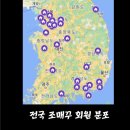 [실천학교](온라인 아침학교) 내 몸을 살리는 척추 건강 운동 교실 | 조매꾸 꿈런쌤의 시간관리법 특강 후기 모음 아침 8시 강의, 못들으신분 교실백점 신청 안내