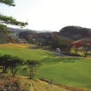 탑골프클럽 이미지