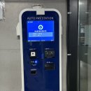 제주 여행 필수코스 추천! 서귀포 매일올레시장 먹거리 &amp; 야시장 후기