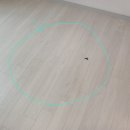 e편한세상시티 광교 | 광교 e편한세상시티광교 오피스텔 도배 &amp; 강마루 교체 공사 후기[세입자 퇴거 후 원상복구 시공]