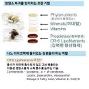 나노라이프 이미지