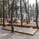 장항오토캠핑장 이미지