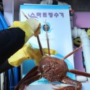 팔도대게 이미지