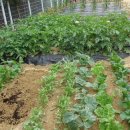 숲속향기생태 어린이집 이미지