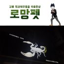 로망펫 | 강릉 희귀애완동물 파충류샵! 로망펫에 다녀왔어요!