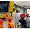 마도초등학교 이미지