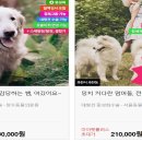 장수동물의료원 이미지