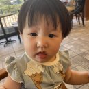 와이디케이 이미지