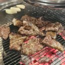 은행나무갈매기 이미지