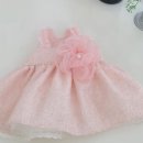 마이댕댕 이미지