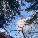623 | 순창[천년고찰] 영구산 구암사. 623年(武王24）、崇済(崇濟)が靈龜山の亀岩寺を創建したといわれている。