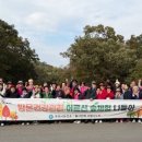 힐링 나들이 이미지