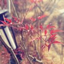 중일초등학교(병설) 이미지