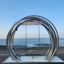 솔숲산 | 경기도 드라이브코스 바다 추천[구봉솔숲해수욕장]혼자 다녀온 후기(주차장, 당일치기)